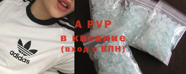 хмурый Осинники